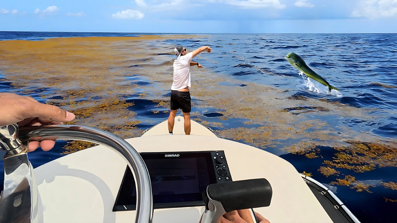 Fishing from the Tower! Gunning for MAHI {Catch Clean Cook}