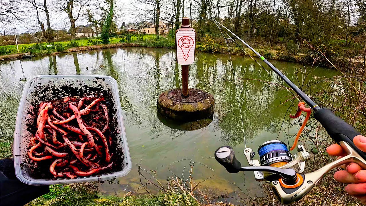 Ce r&eacute;servoir est infest&eacute; de poissons improbables ! On p&ecirc;che aux vers avant l&rsquo;ouverture !