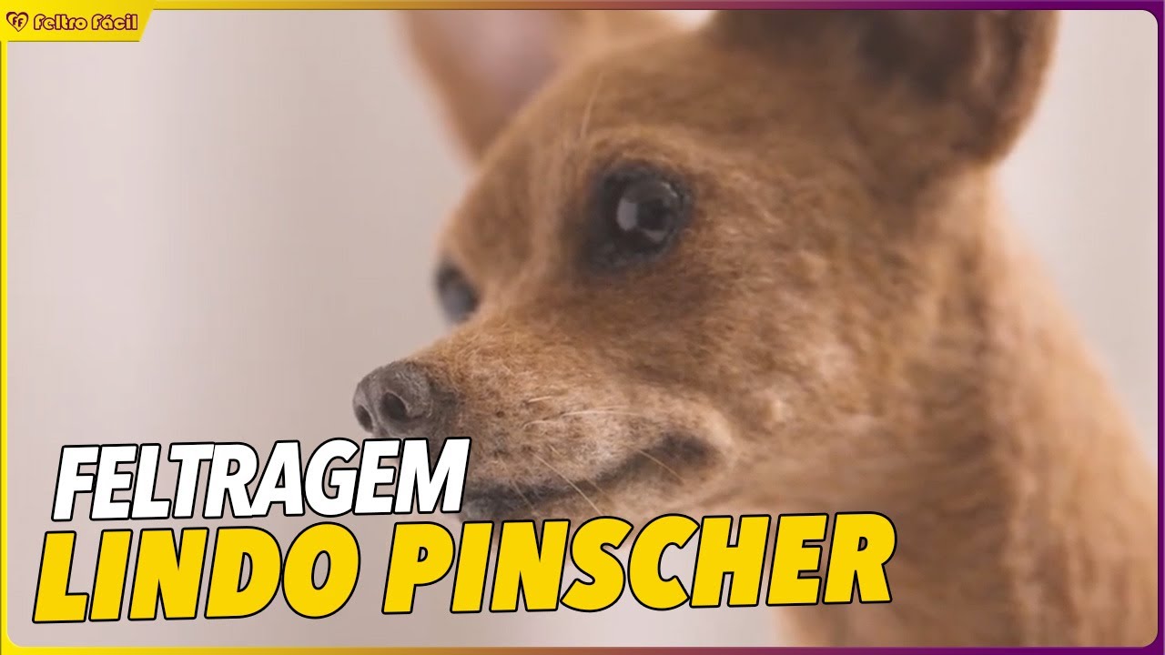 Pinscher de Feltro | Técnica de Feltragem com Agulha 🐾