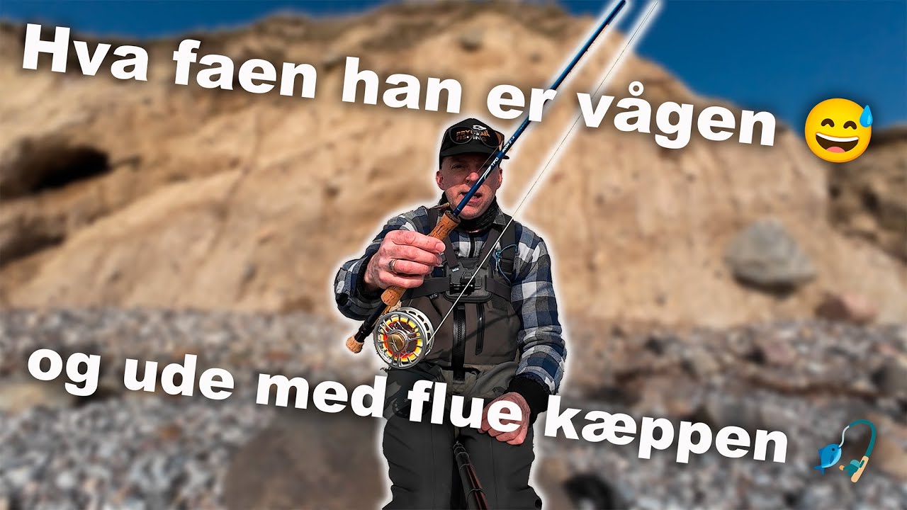 Long time no se... Havørred Fiskeri med Flue 🎣