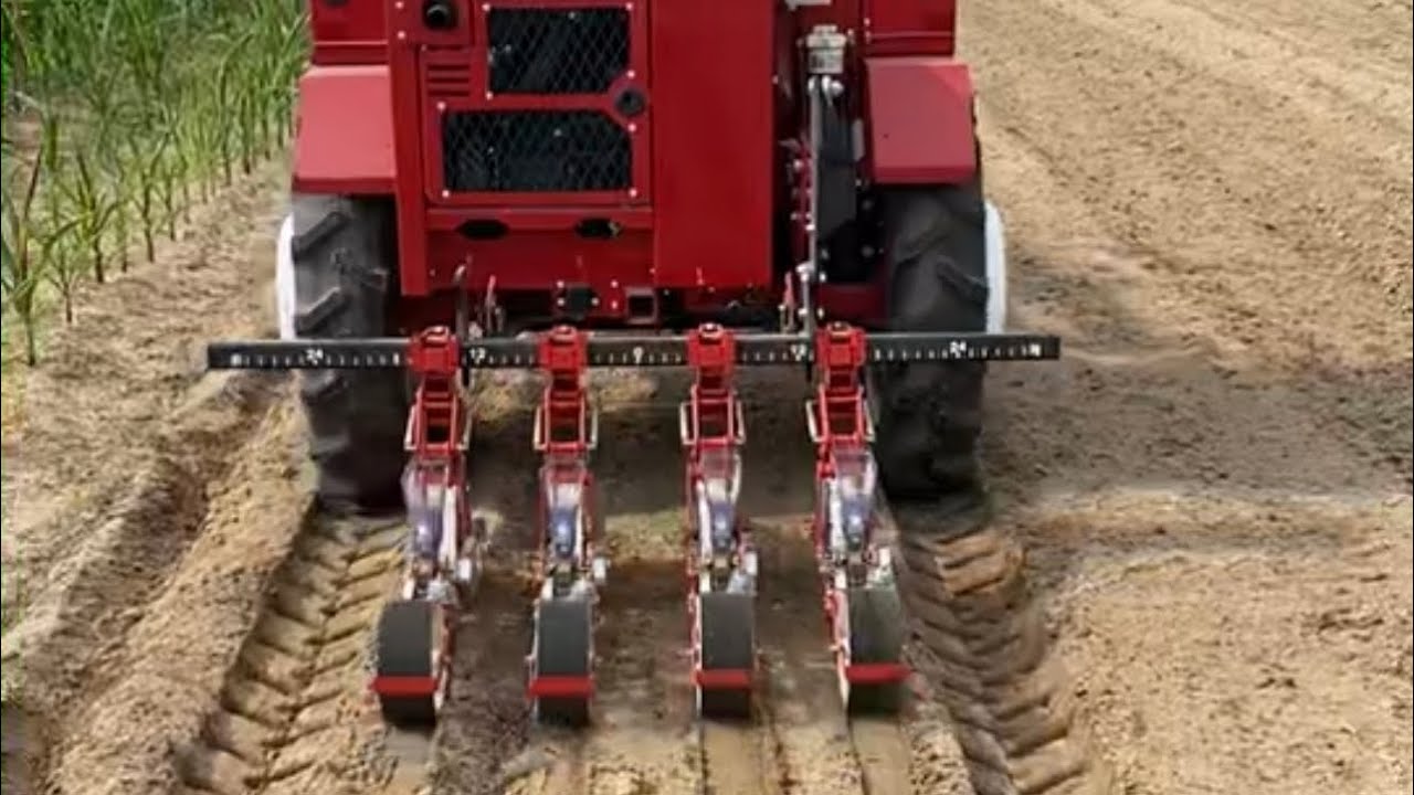 Coolest Vegetable Farming Set Up!🌱