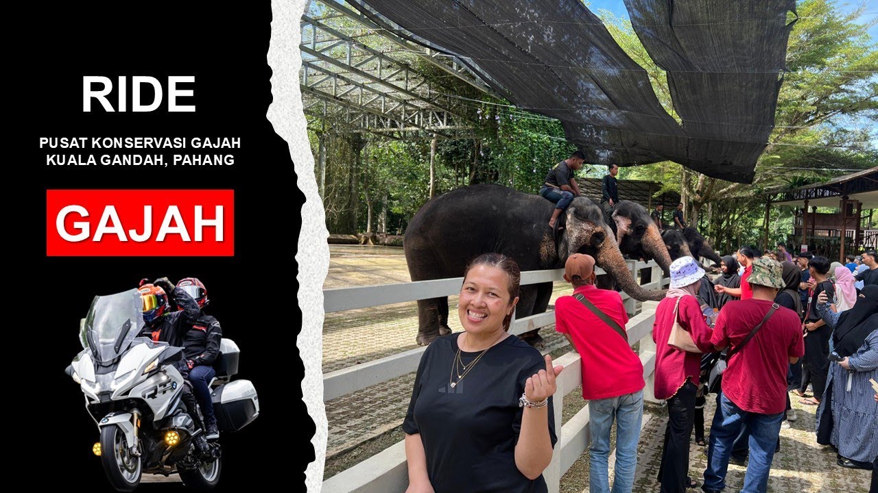 BMW R1250RT | Ride ke Pusat Konservasi Gajah Kebangsaan Kuala Gandah, Pahang