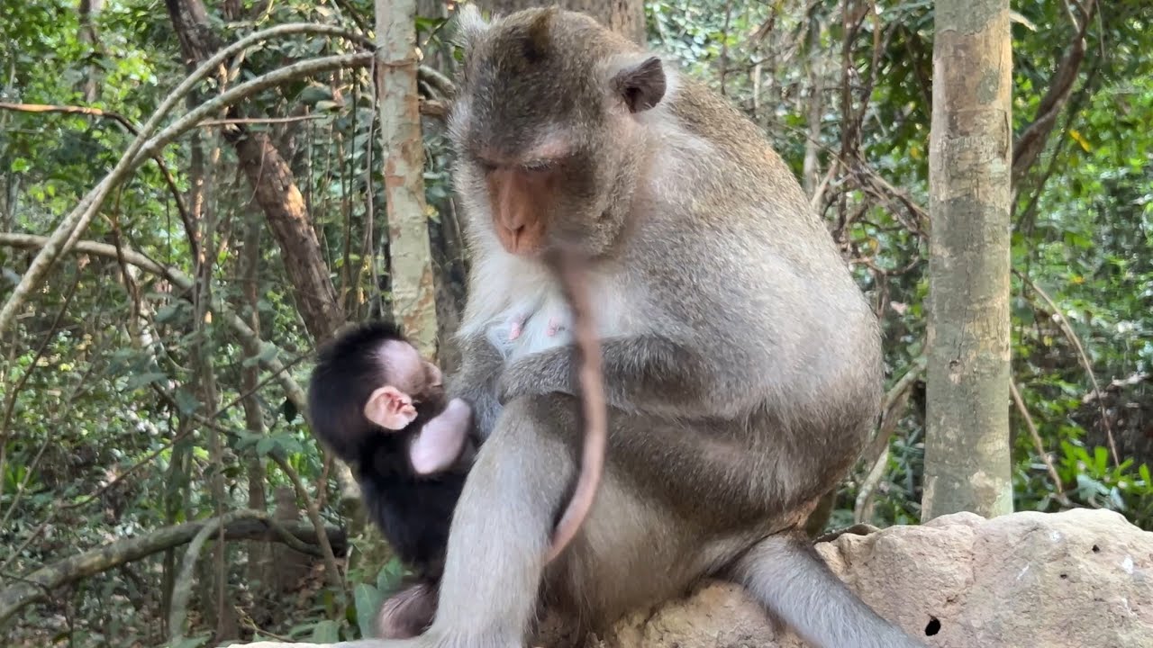 The most beautiful cute baby Amina listens to mom while She giving good lesson 