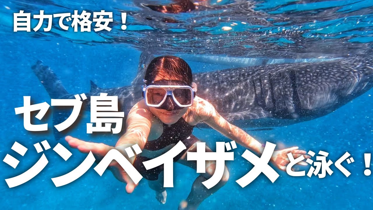 【セブ旅行】自力・格安で行ったオスロブが最高すぎた！！｜バスの乗り方