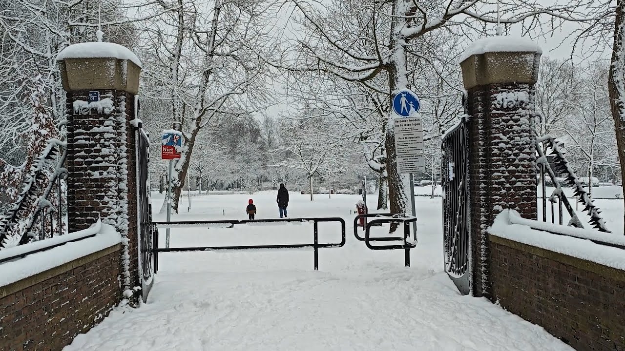Dordrecht Park Merwestein 5 januari 2026