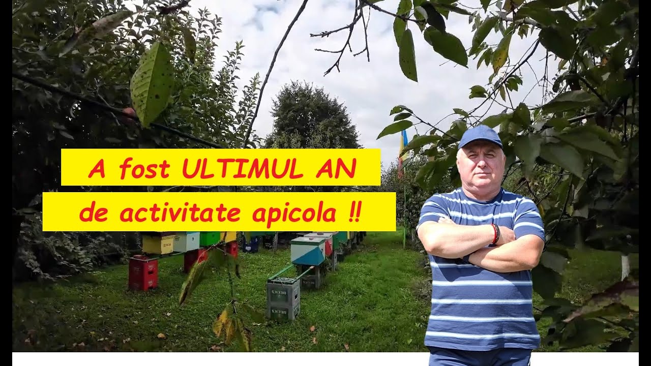 S-a TERMINAT cu APICULTURA pentru MINE, a fost ultimul AN ..... / DE CE OARE? #albine  #apicultura