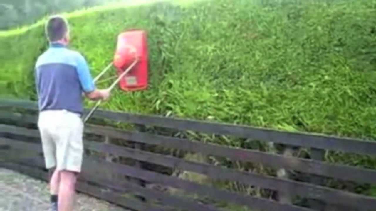 crazy funny gardeners