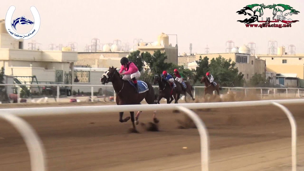 الجواد بدراني : لسطبل الجلوي