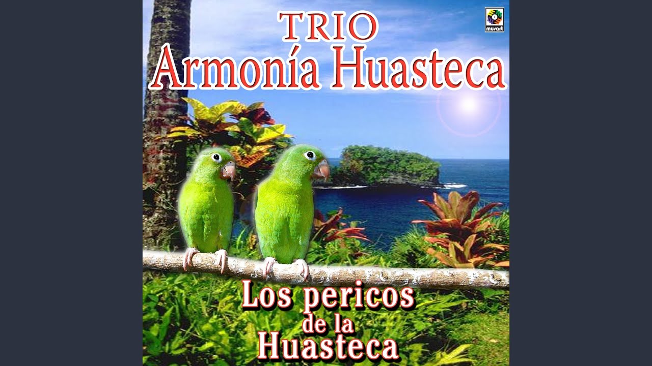 Los Muchachos De Ahora