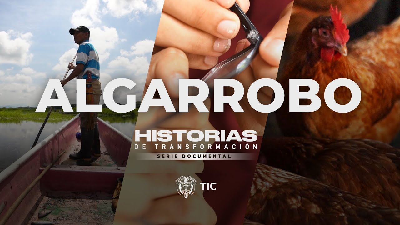 El municipio que transformó la vida de sus habitantes con tecnología y conectividad 360: Algarrobo