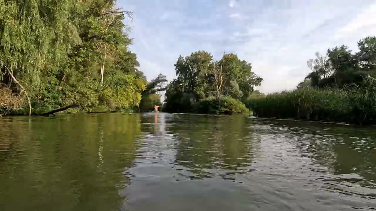 20240825 Tisza tó  --  X. sz. öblítőcsatorna 4k