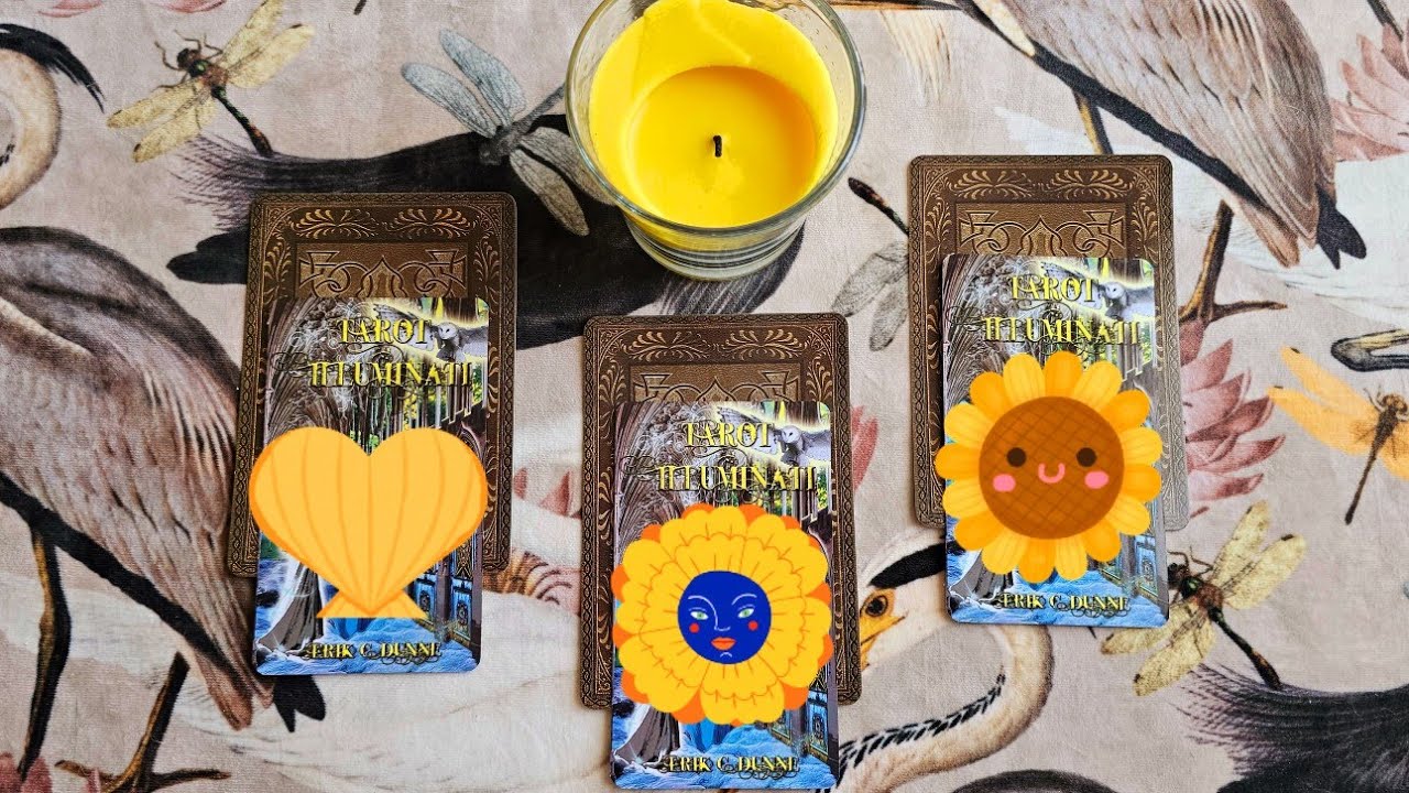 🌼✨ La réponse à votre question : Oui/Non ?! ✨🌼