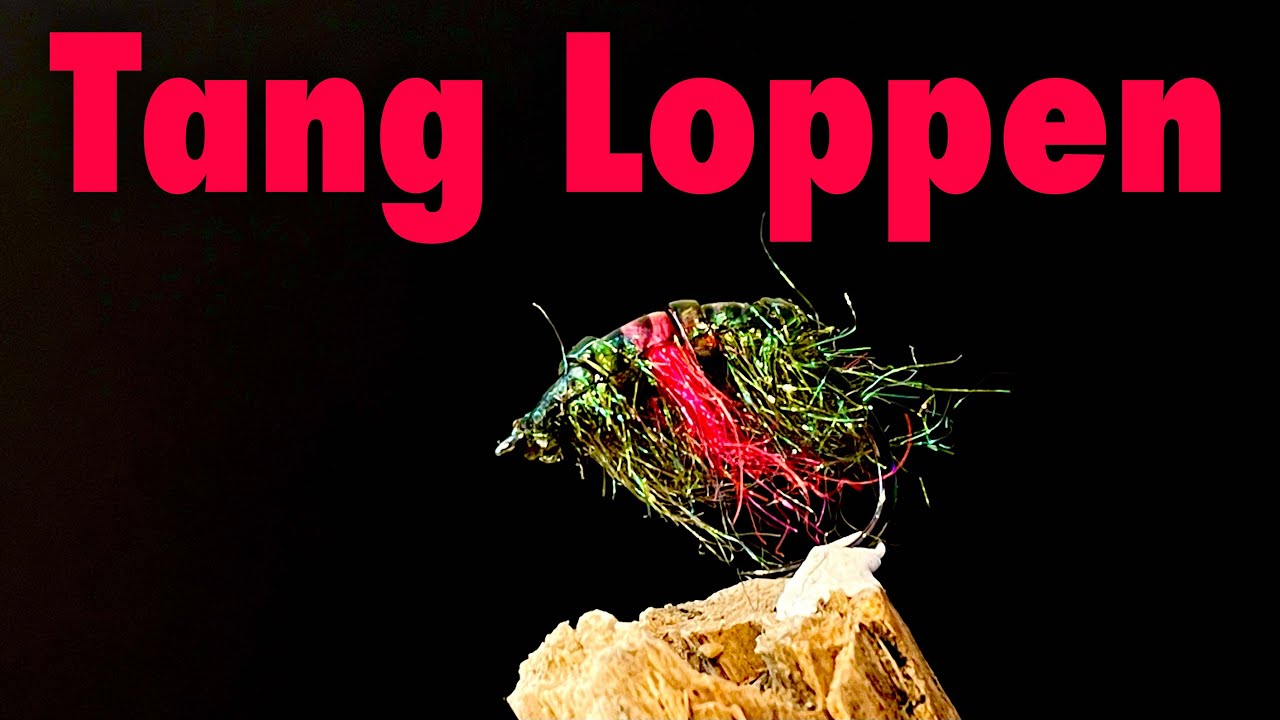 Tang Loppen 🎥 Binde video 🐜 Havørred Fiskeri