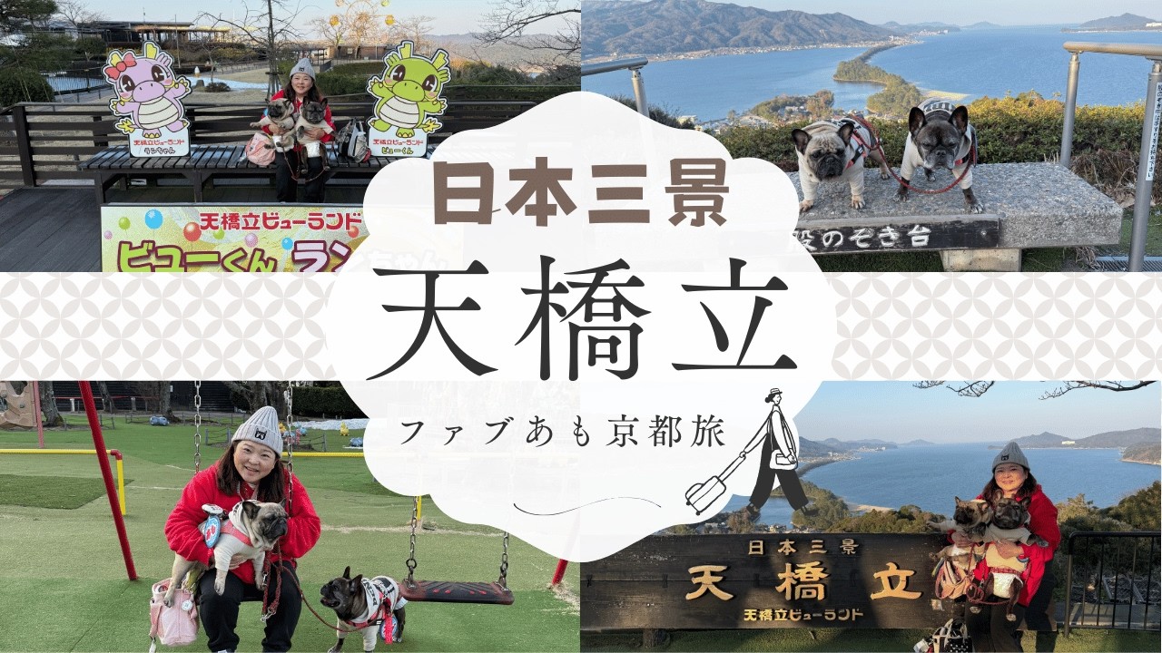 【ファブあも京都旅】短足コンビついに日本三景「天橋立」に行く