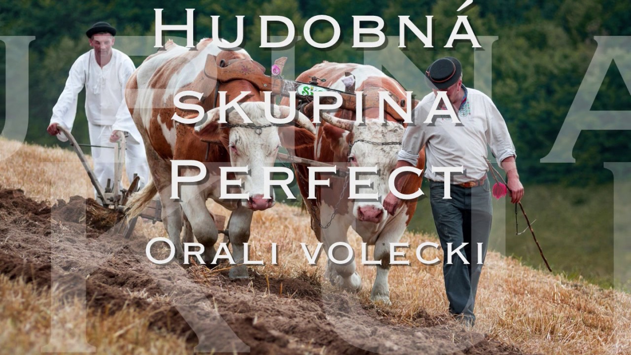 Perfect - Orali volecki
