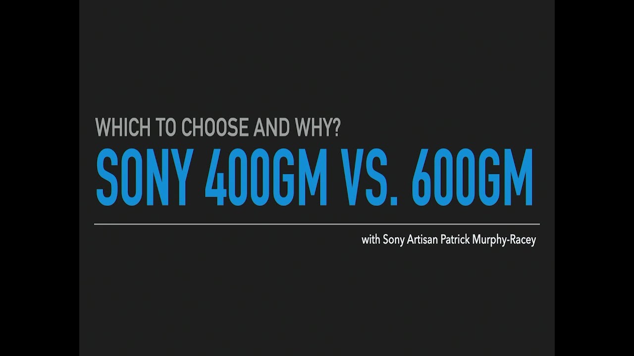 SONY FE400mm f/2.8 GMaster vs. Sony FE600mm f/4 GMaster lens... Which one is right for you?