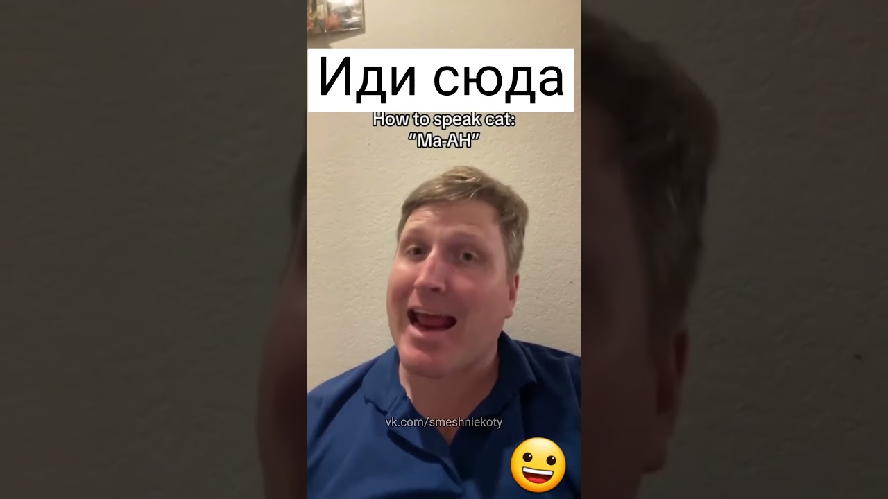 Мужик придумывает кошачий язык #кошачийязык