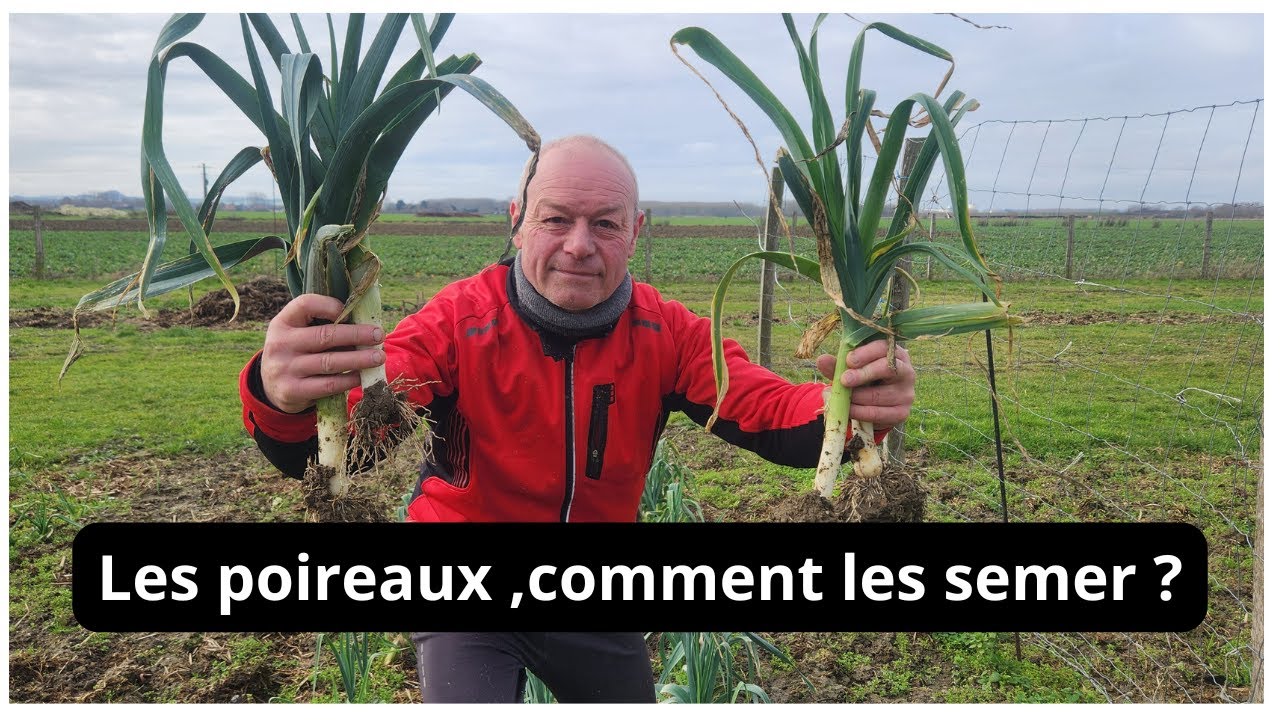 Au 8 février  , je re-seme  des graines  de poireaux  !
