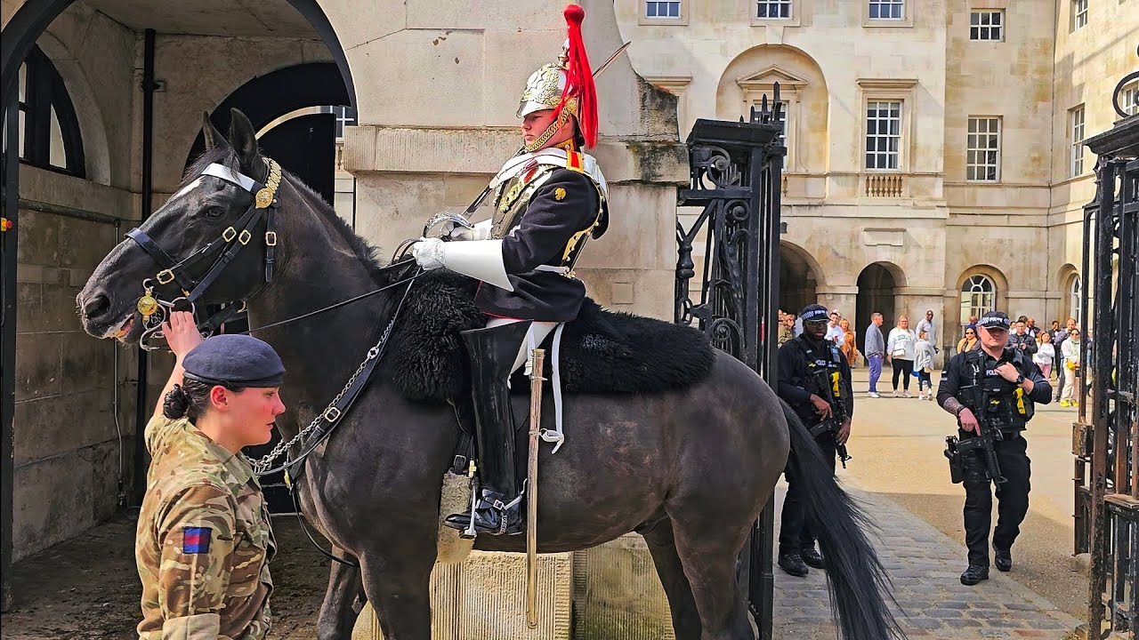HUGE NEW HORSE IS REMOVED for public safety after freaking out when THIS happened at Horse Guards!