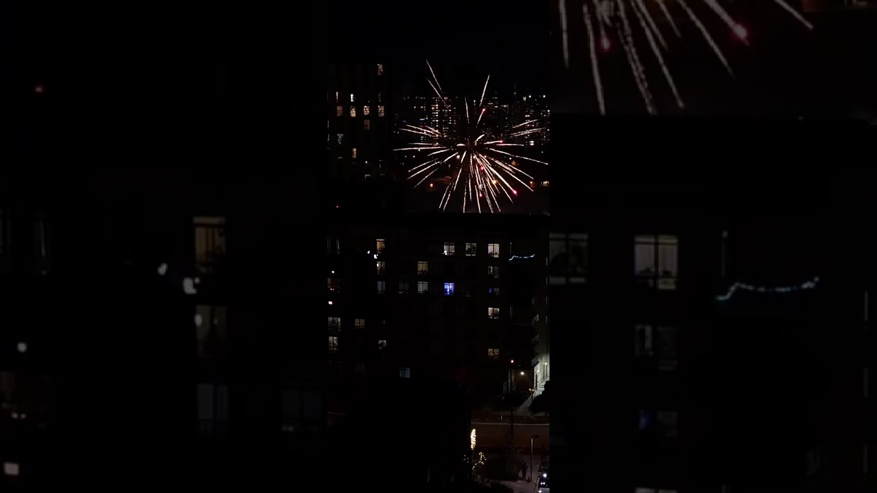 Watching holiday Fireworks night (totoinday vlog)