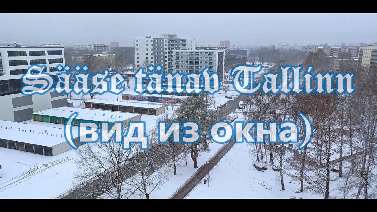 Sääse tänav Tallinn вид из окна