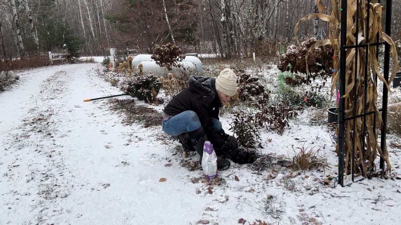 Planting My Fall Bulbs In The Snow! Tulips, Daffodils, Alliums | Simply Bloom