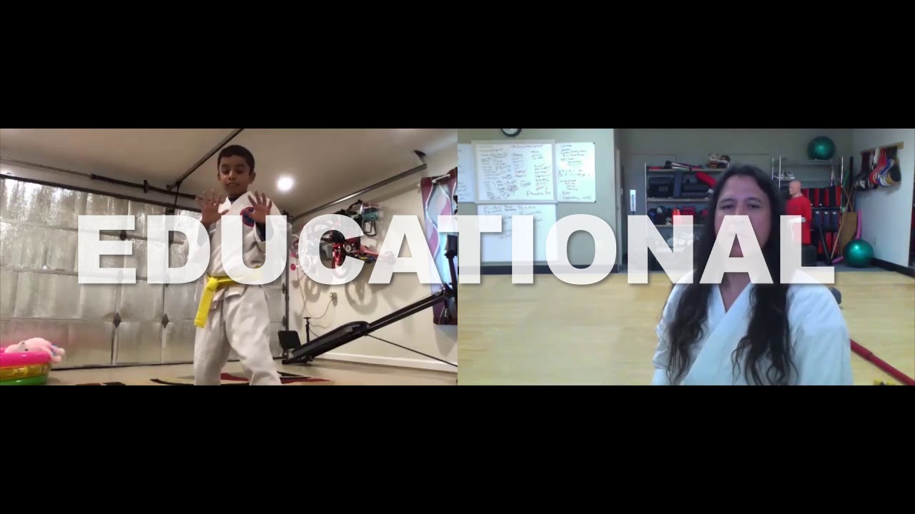 Kaizen Dojo ZOOM Virtual Martial Arts Classes!