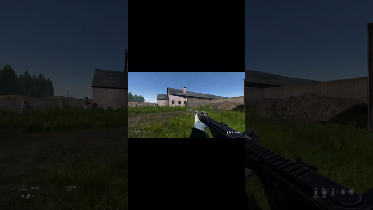 8852 Official DayZ PS5