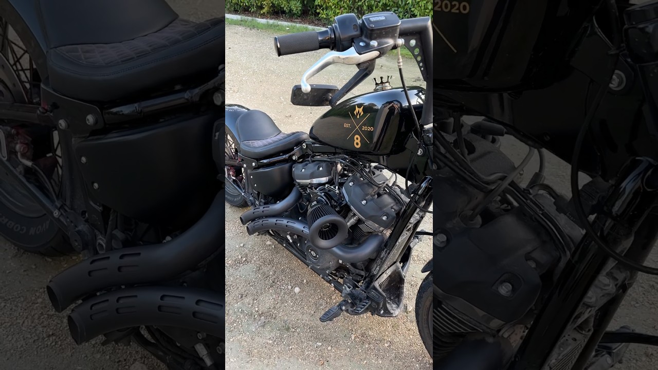 Arlen ness 65 air filter // Harley Davidson streetbob - you like?