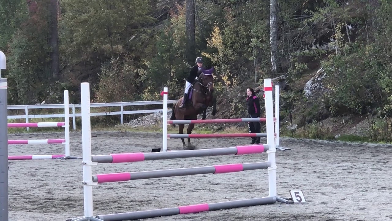 VOICEOVER - Sprangstevne Stall Næss