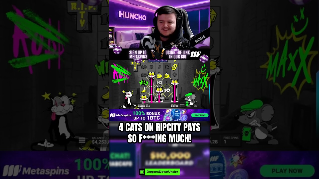 OUR BIGGEST WIN ON RIP CITY WITH 4 CATS!