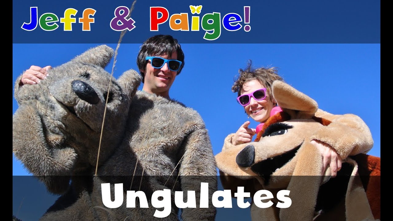 Ungulates | Jeff and Paige | Official Music Video