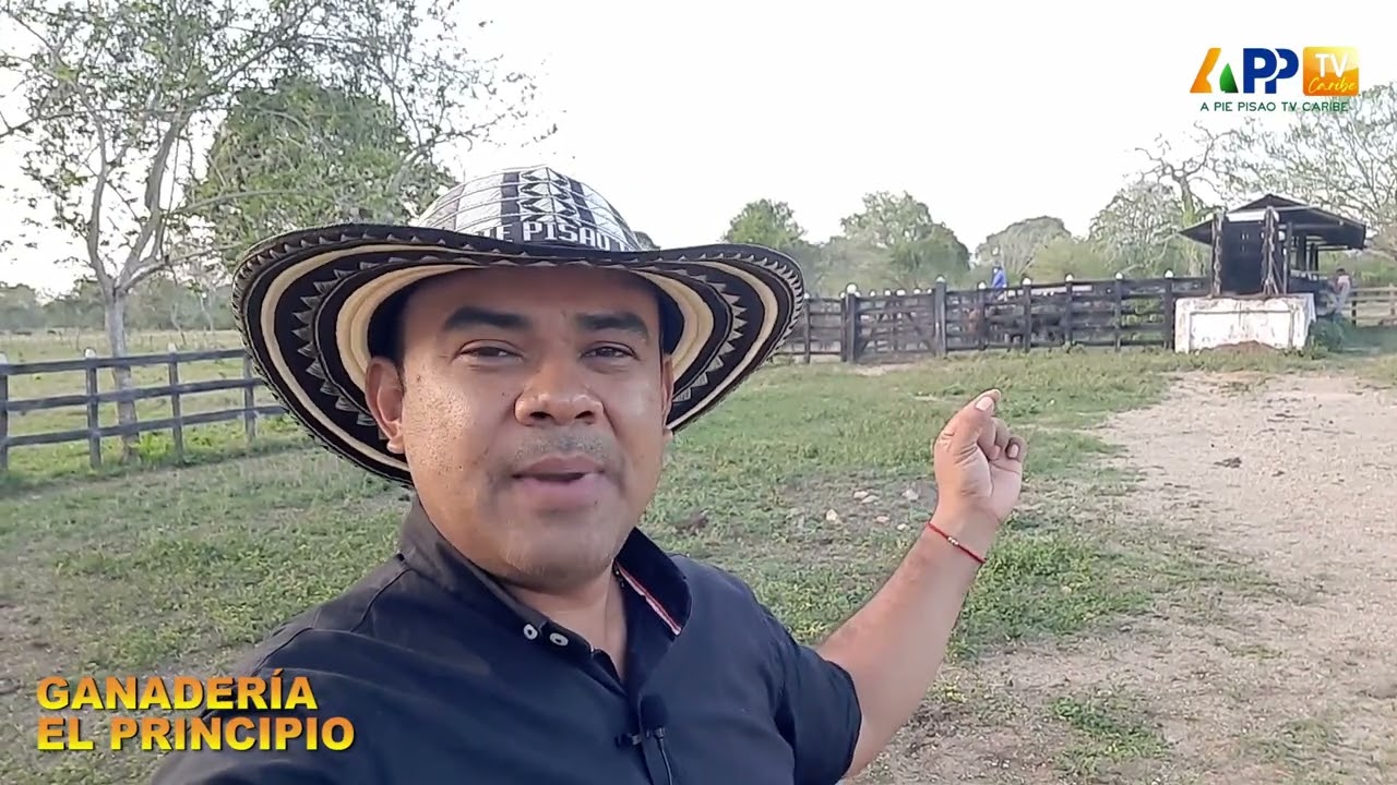 TOROS DE JJ PARA ARJONA Y LA SIERPE | TOROS ATACAN A LOS CABALLOS