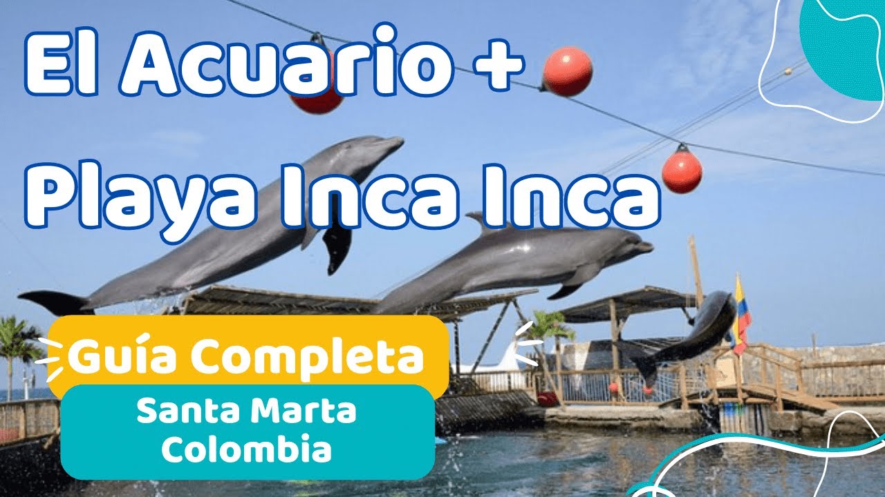 CÓMO LLEGAR Acuario El Rodadero 🐬Delfines Canopy 🏖️ Playa Inca Inca Santa Marta Colombia
