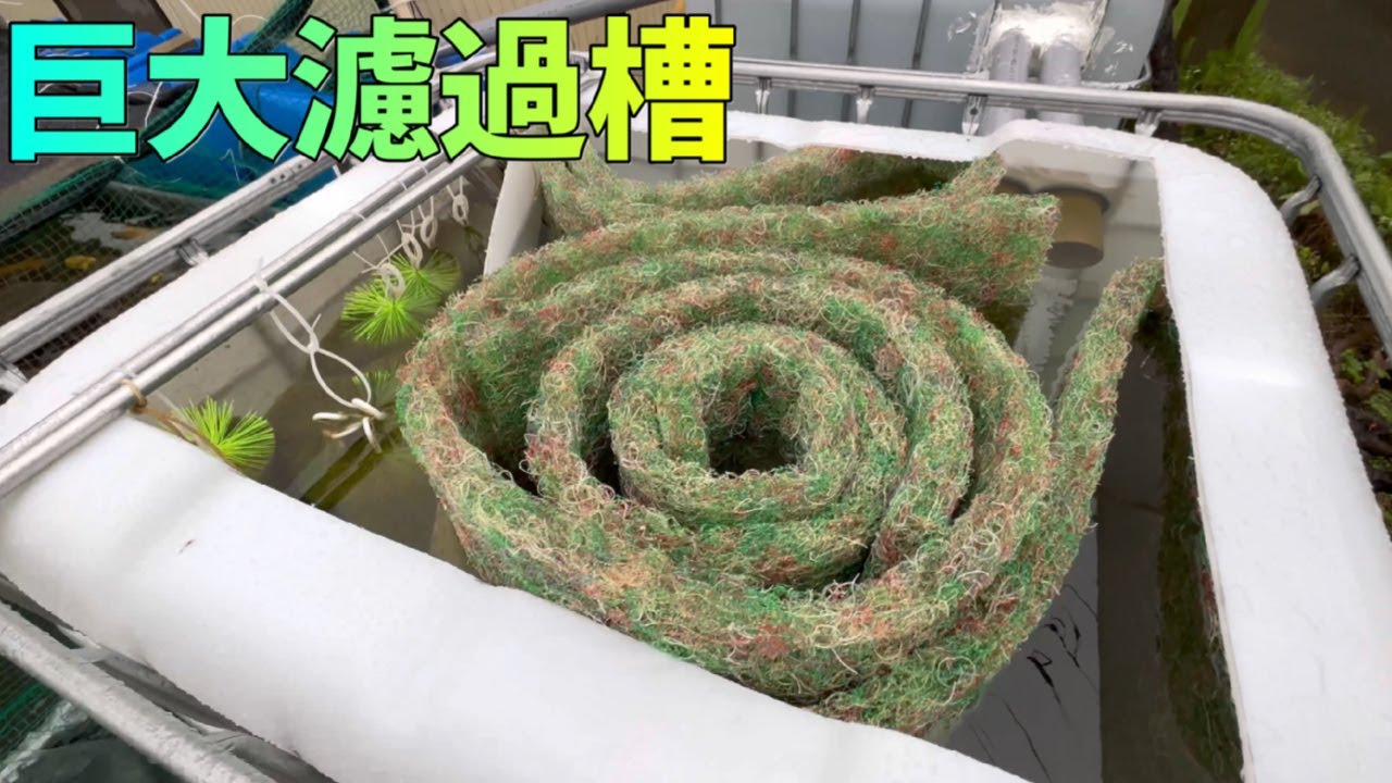 ２トンの巨大濾過槽をDIYで作りました
