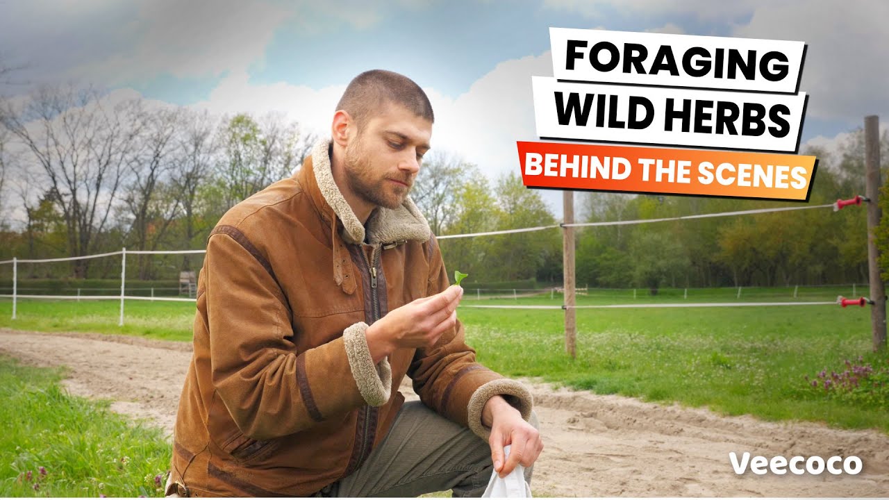 Veecoco Behind The Scenes - Foraging Wild Herbs