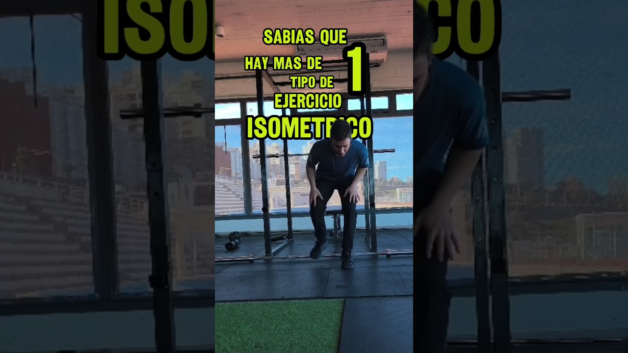 tipos de ejercicios isometricos 