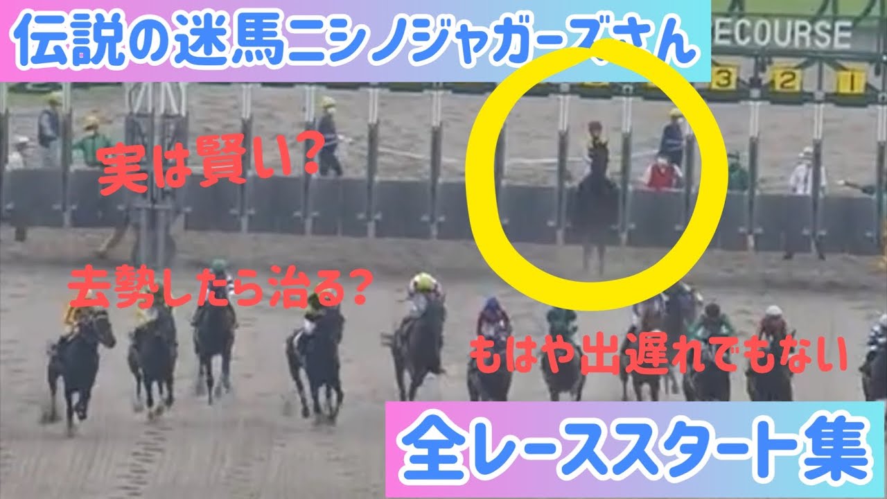 【しくじり先生】伝説の迷馬、ニシノジャガーズさんの全スタート集。【ゆきとさくら】