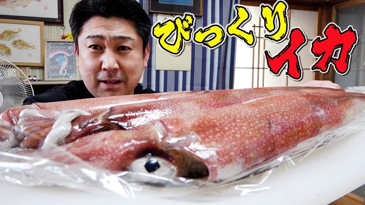 歴代一位！？特大の剣先イカを一番うまい食べ方でいただきました！