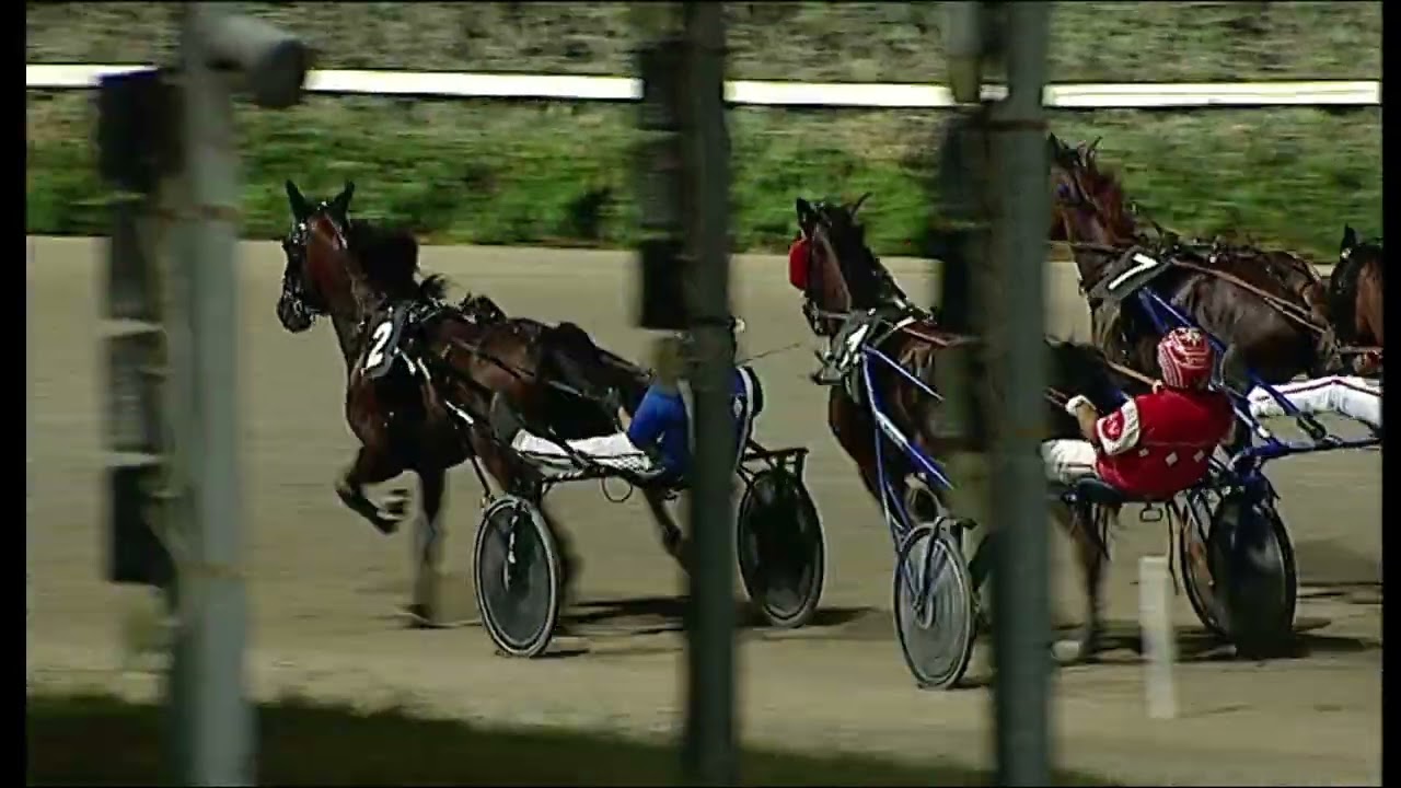 Ippodromo del Garigliano - Trotto 01/07/2025 - 4ª corsa
