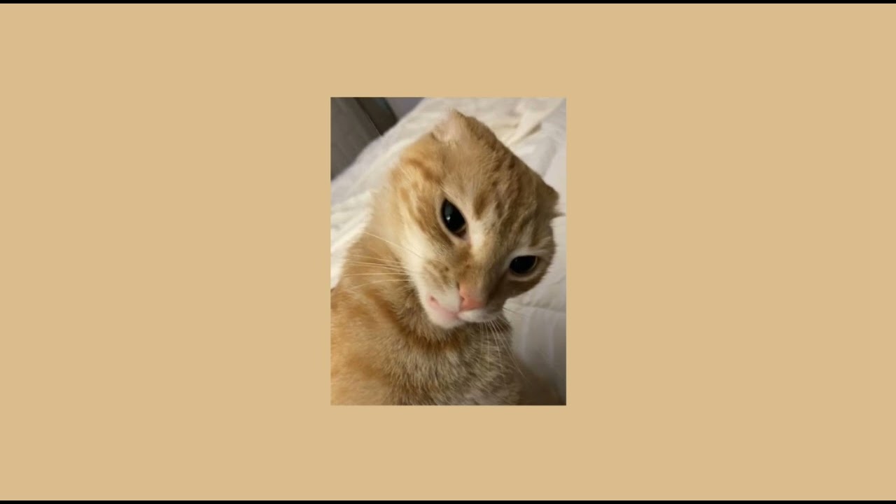 zachz winner - doodle (SPED UP)