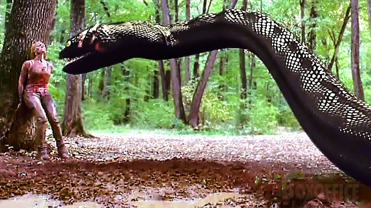 Serpent G&eacute;ant VS Humains | Les Meilleures Sc&egrave;nes de Anaconda 3 🌀 4K