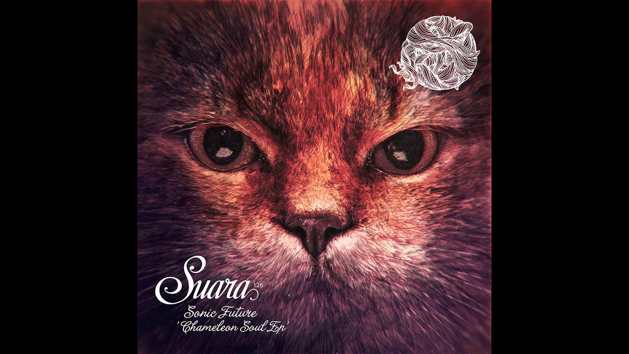 Sonic Future - Bring It On (Original Mix) [Suara]