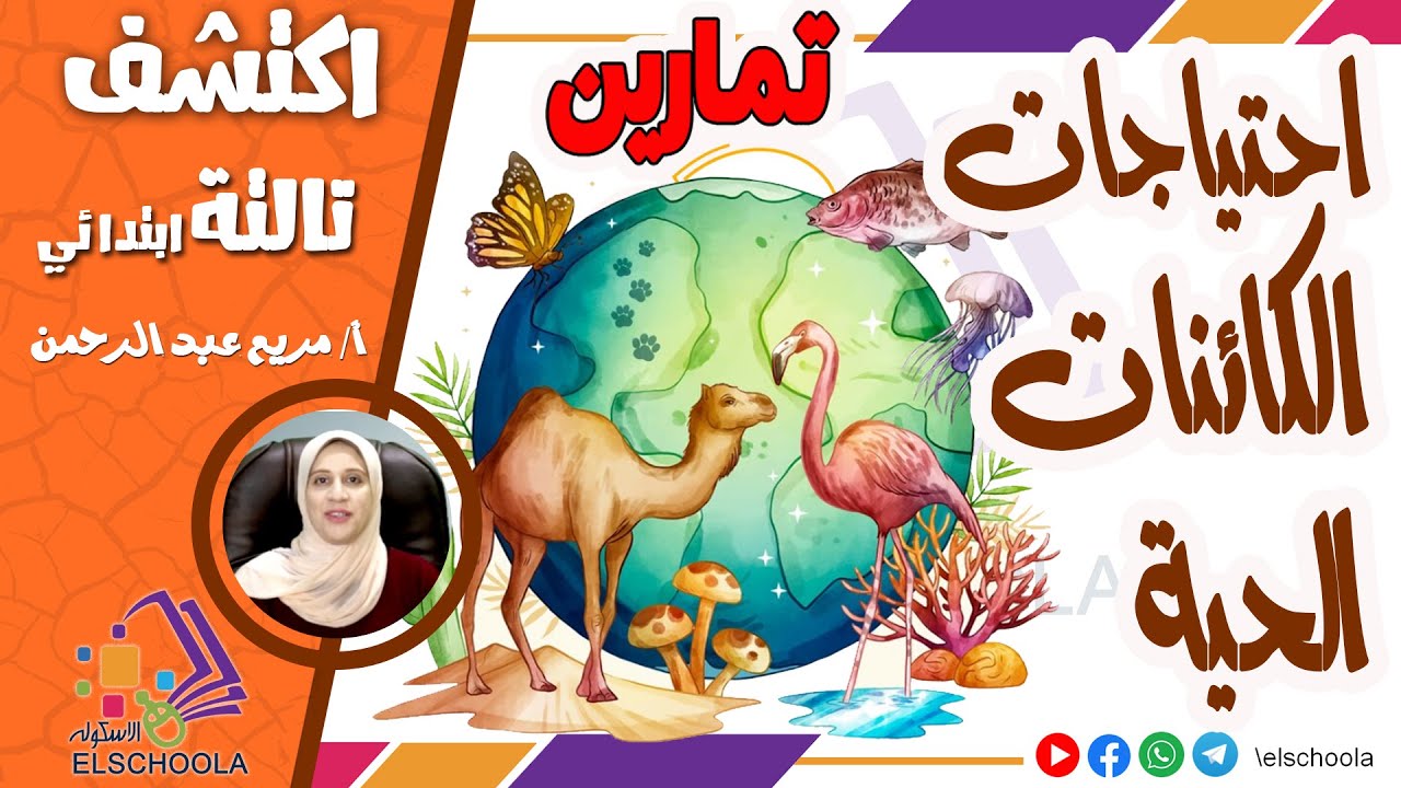 تدريبات على احتياجات الكائنات الحية | اكتشف تالتة ابتدائي | الاسكوله