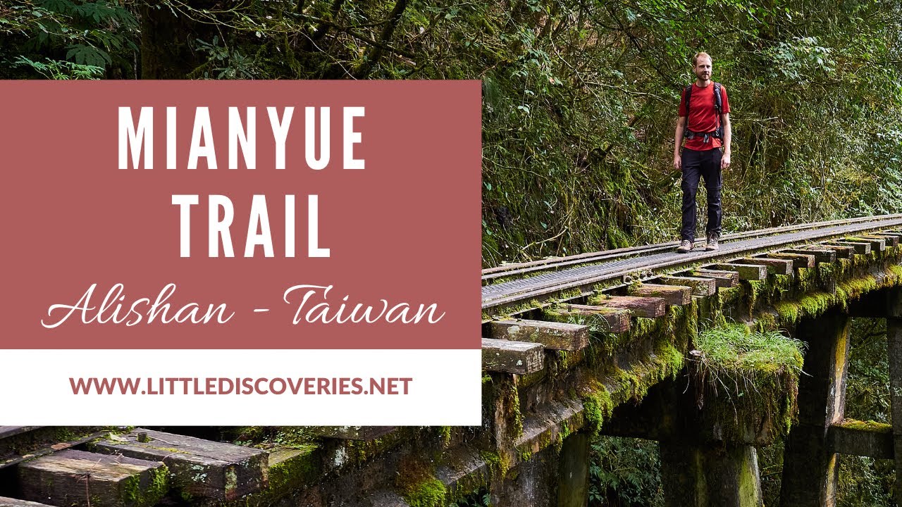 Wanderung Mianyue Trail auf verlassener Bahnstrecke | 眠月線 | Alishan | Taiwan | Little Discoveries