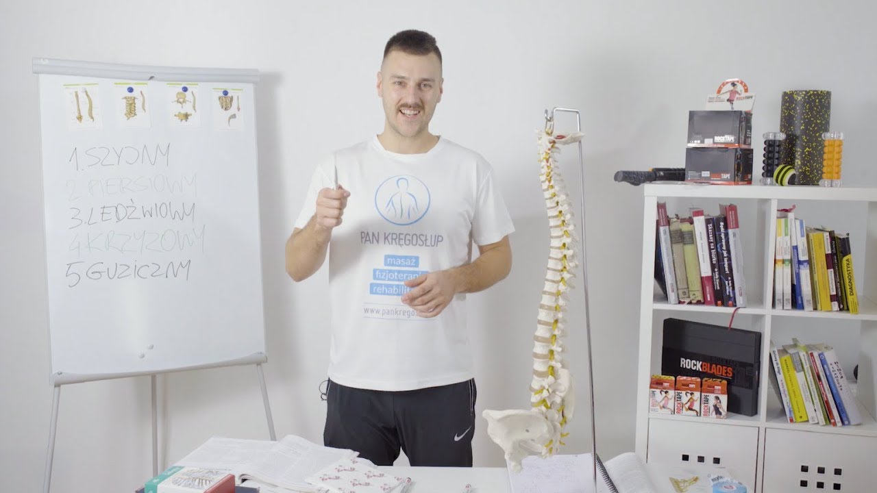 👨&zwj;⚕️ Ile kręg&oacute;w ma kręgosłup? Anatomia kręgosłupa #2