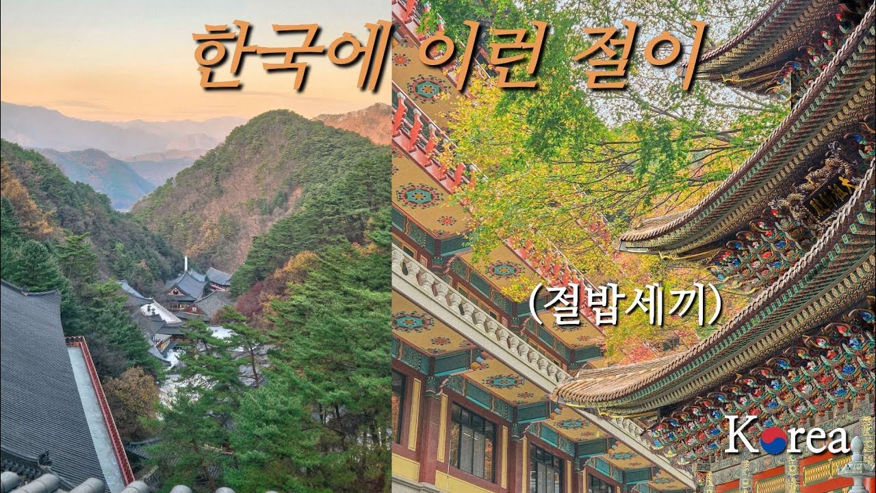 구인사 템플스테이와 단양 시장 맛집 1박 2일 여행