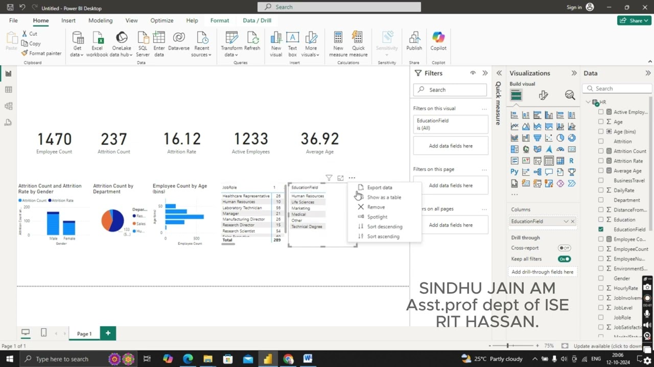 Data visualization Lab - BAIL504 Program 2