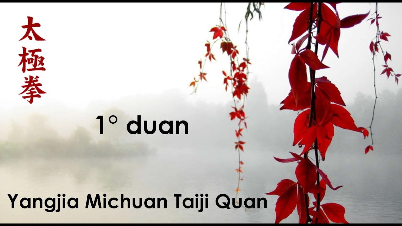1° Duan du Yangjia Michuan Taiji Quan