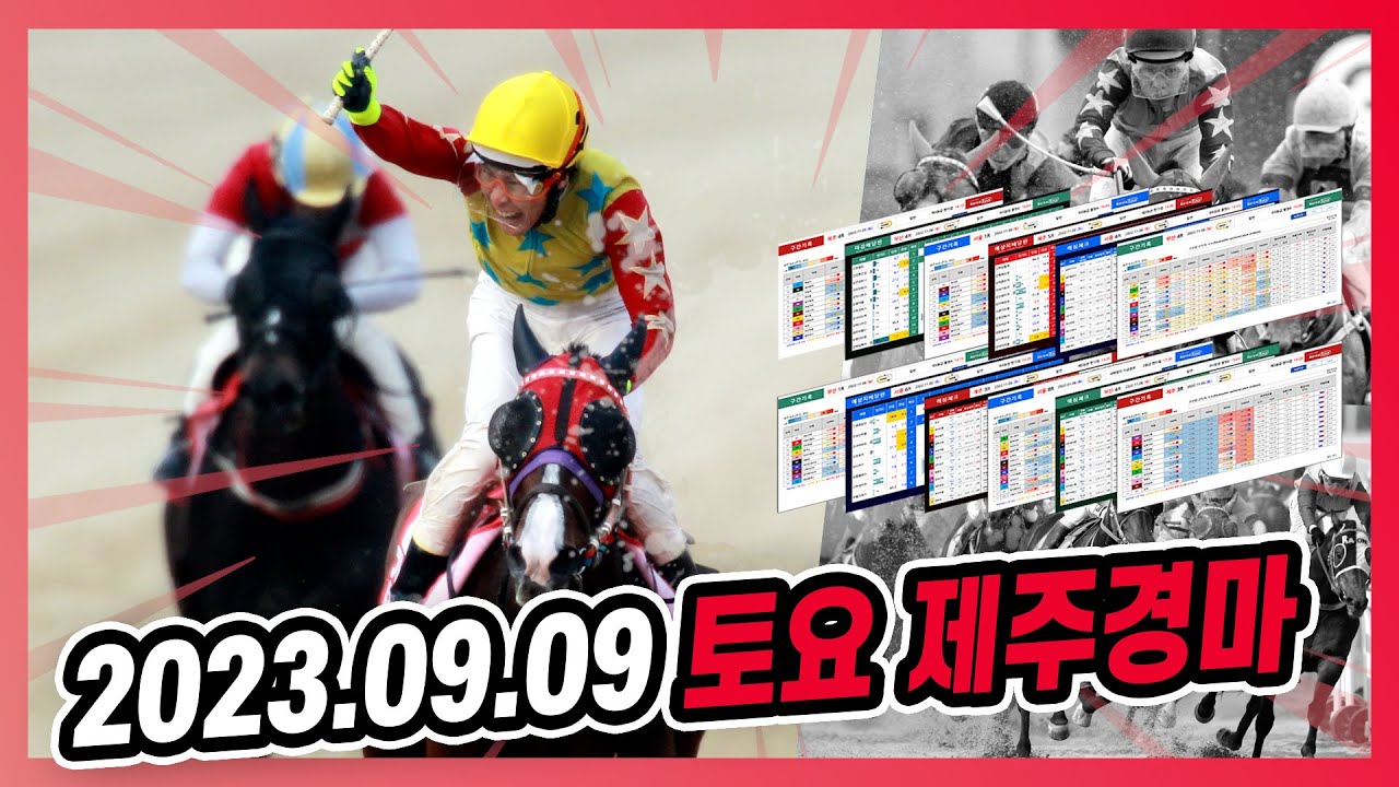 2023년 9월 9일 토요 제주경마 전체경주 모아보기